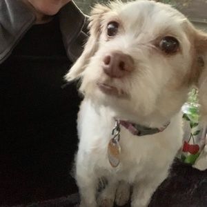 Meet your Posher, Elle.